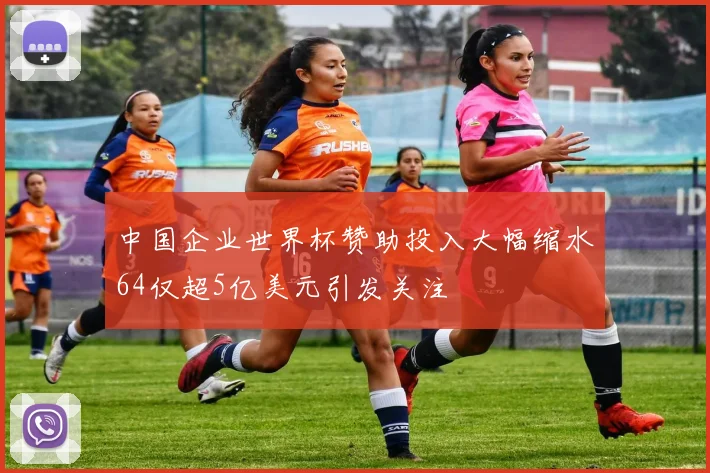 中国企业世界杯赞助投入大幅缩水64仅超5亿美元引发关注